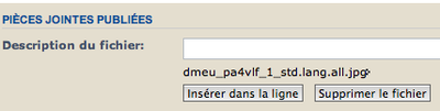 insertion-image.png insertion-image.png